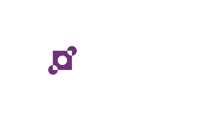 Punt & Partners Automatisering